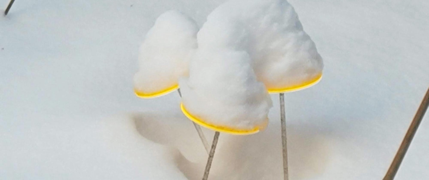 Drei Sonnenfänger mit Schnee bedeckt Drei Sonnenfänger mit Schnee bedeckt