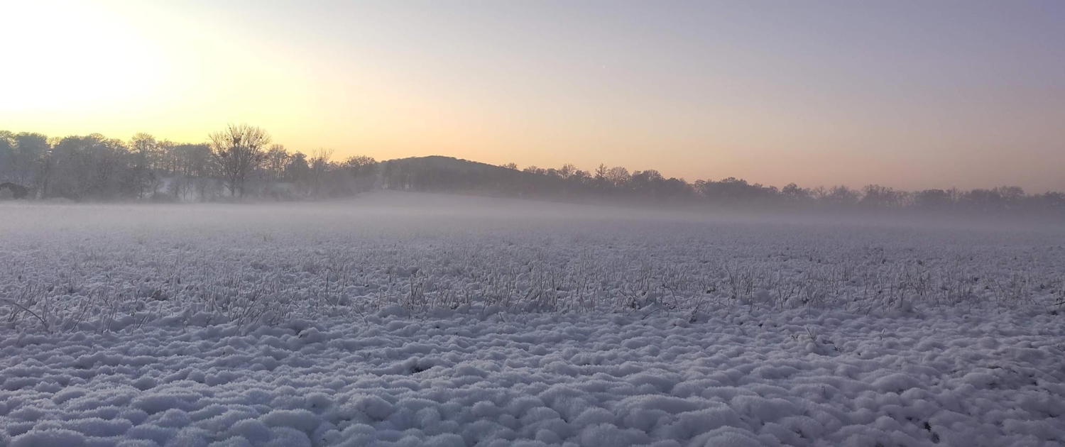 Blick über ein gefrorenes Feld beim Sonnenaufgang Blick über ein gefrorenes Feld beim Sonnenaufgang